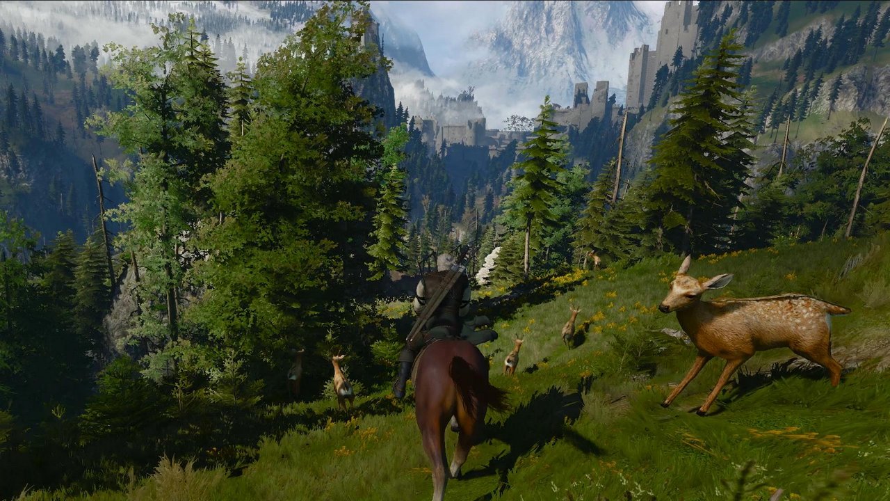 the-witcher-3-wild-hunt-7jpg