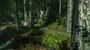 CryEngine 3: galleria immagini