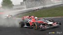 F1 2011: galleria immagini