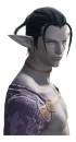 Final Fantasy XIV: immagini dei personaggi