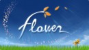 Flower: immagini