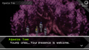 Shin Megami Tensei: Persona (PSP)
