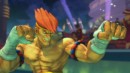 Super Street Fighter IV: Adon in immagini