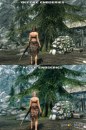 The Elder Scrolls V: Skyrim - ENB Series mod - galleria immagini
