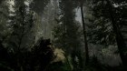 The Forest: galleria immagini