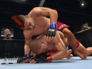 UFC 2010 Undisputed: galleria immagini